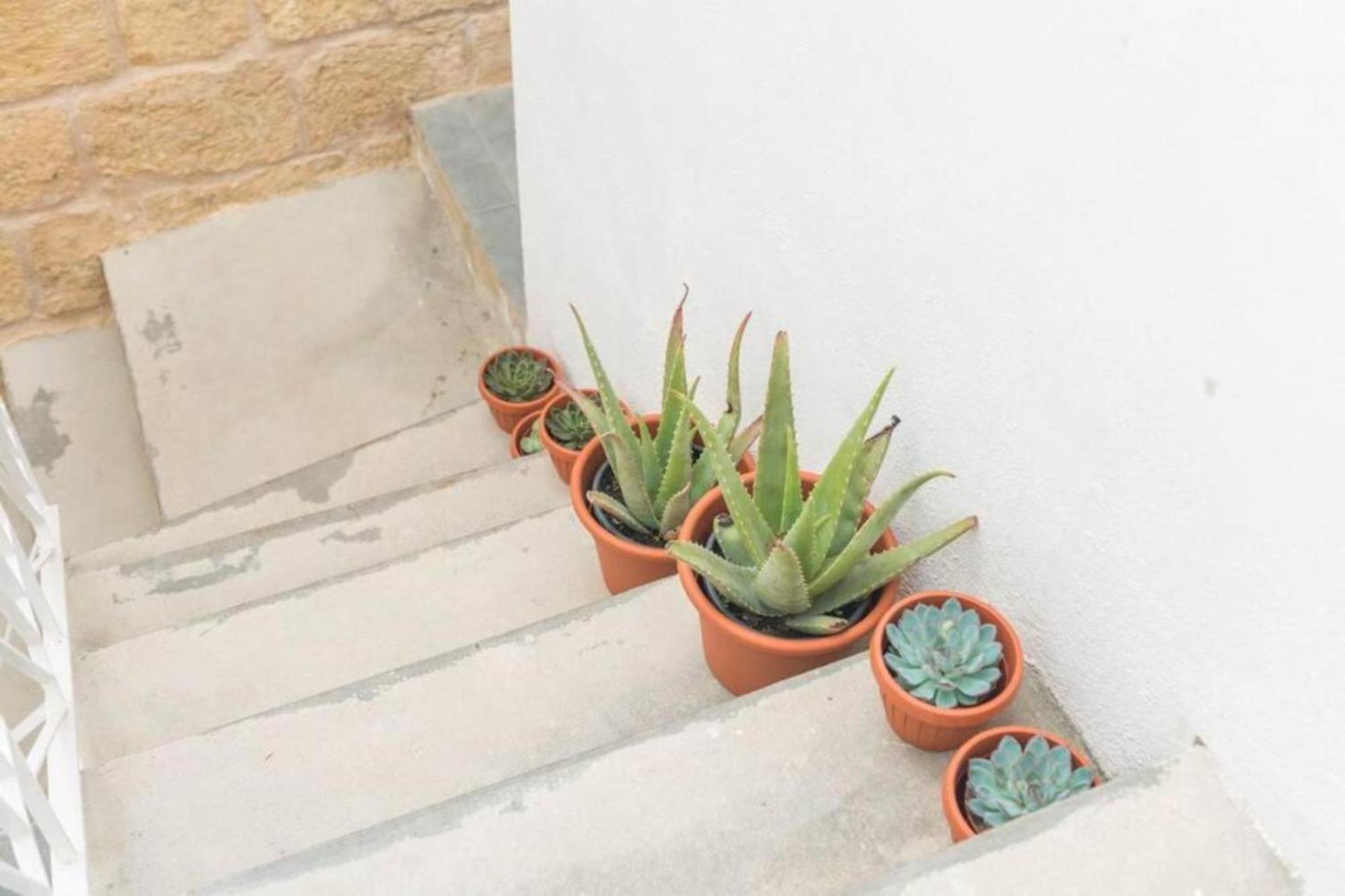 Authentic Gf Apartment With Terrace At The 3 Cities Marina Cospicua 외부 사진
